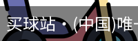 买球站